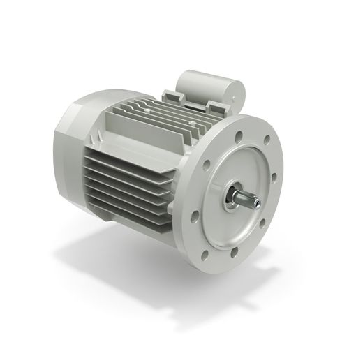 Bonfiglioli Asynchronous Single Phase Motor BS